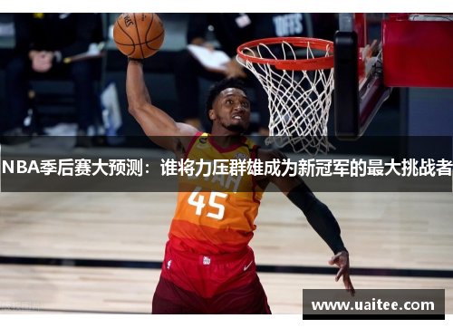 NBA季后赛大预测：谁将力压群雄成为新冠军的最大挑战者