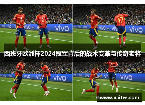 西班牙欧洲杯2024冠军背后的战术变革与传奇老将