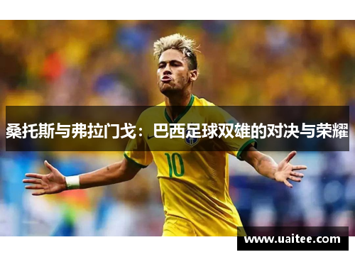 桑托斯与弗拉门戈：巴西足球双雄的对决与荣耀
